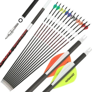 31" Pure Carbon Arrow Luminous SP300-600 2" Vanes Screw Tip Recurve Bow Shooting - Picture 1 of 26