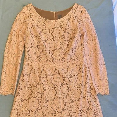 Vestido VERA WANG Festoneado Rubor Rosa Superpuesto Encaje 12 LN Forro Desnudo Foto 1 de 4