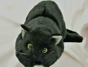 DOUSIN Realistica Pelliccia di Gatto Imbottita, Guarigione Occhi Carina Taglia Reale Made in Japan F/S - Foto 1 di 1