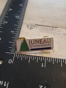 Juneau Alaska Flowers Collector Pin Hat Tie Lapel Pinback Travel Souvenir Ss - Picture 1 of 2