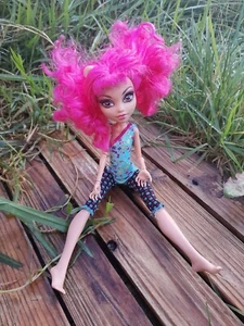 MONSTER HIGH SCHOOL DOLL - Picture 1 of 3