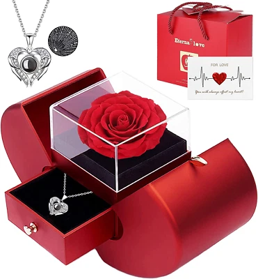 Preserved Real Rose with I Love You Necklace 100 Languages, Gifts for Girlfriend - Image 1 of 4