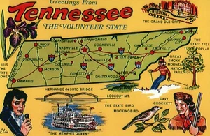 Greetings from Tennessee The Volunteer State, Elvis Memphis Queen - Map Postcard - Picture 1 of 2