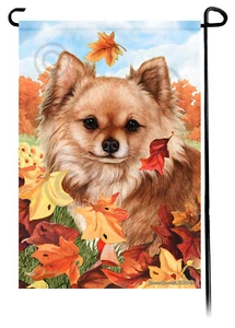 Falling Leaves Garden Flag - Longhaired Red Chihuahua - Picture 1 of 1