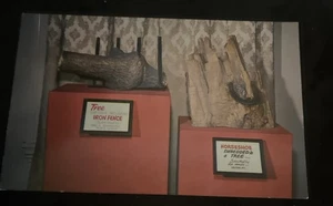 St. Augustine Florida Postcard Ripleys Believe It Or Not Museum Interior 1960s - Picture 1 of 2