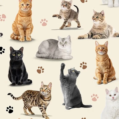 Quilting Patchwork Sewing Fabric Whisker Wonders Cats Allover 50x55cm FQ - image 1 of 3