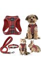 Small Pet Harness Collar and Leash Set, No Pull, Soft Mesh , Red, Small