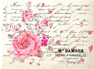 PEGATINA DE TRANSFERENCIA DE MUEBLES O TOBOGÁN ACUÁTICO ESCRITURA TIPOGRAFÍA FRANCESA FLORES ROSADAS ❤ - Imagen 1 de 8