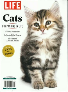 LIFE MAGAZIN 2019: CATS COMPANIONS IN LIFE NEUAUSGABE DER SONDERAUSGABE DES LEBENS. - Bild 1 von 1