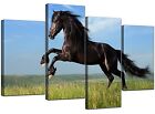 Horse Canvas Wall Art Pictures Set Prints Girls Bedroom Blue XL 4129