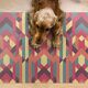Napfunterlage Futterunterlage Futtermatte für Hund und Katze Farbenfrohe Linien