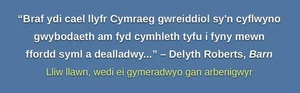 Fi Ydy Fi by Lewis, Sian Eirian Paperback / softback Book The Fast Free Shipping - Picture 1 of 2