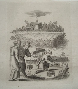 Kinder fangen Vögel mit Netzen Kinderspiel Kupferstich P. van der Aa 1703 - Bild 1 von 1
