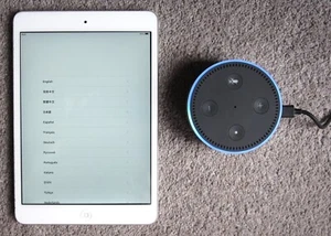 1 X APPLE IPAD MINI 16GB 2ND GEN & 1 X ECHO DOT 2ND GEN BOTH IN WORKING ORDER - Picture 1 of 2