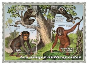 Togo 2021 MNH Wild Animals Stamps Antropoid Monkeys Primates Siamang 4v M/S