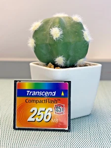 Transcend CompactFlash CF 256 MB 45x memory card, TESTED - Picture 1 of 7