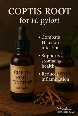 HEATHERS HOLISTIC WAY S.I.B.O. H PYLORI extract with mother Natural Barbarian, Coptis Root Oxymel,60ml