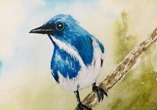 ACEO Original Painting Art Card Watercolor Color Blue Bird Miniature