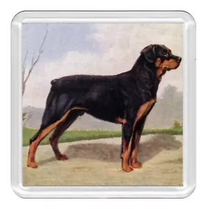Rottweiler Hund Acryl Untersetzer Neuheit Trinkbecher Matte tolles Geschenk - Bild 1 von 1