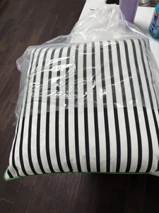 NEW Kate Spade Target Stripe Square Throw Pillow Green Piping 20x20 ๐๐ - Picture 1 of 2