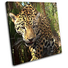 Leopard Jungle Big Cat Africa Animals SINGLE CANVAS WALL ART Picture Print
