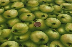 Green Apples * Packed - * Kyle's Marketplace/RJR Fabrics* 100% Cotton * OOP 2004 - Picture 1 of 4