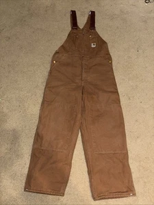 Carhartt Duck Bib Overalls Insulated RN#14806 R06 Double Knee Made In USA 38x30 - Bild 1 von 11