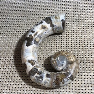 279g Rare Natural elephant nosed specimen Reiki healing d5 - Picture 1 of 11