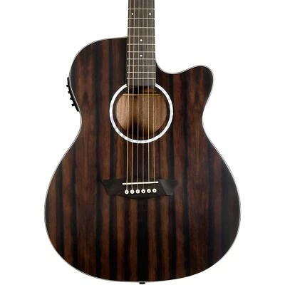 Washburn DFEACE Ebony ACE Grand Auditorium A/E Guitar, Striped Ebony Top - Image 1 of 3