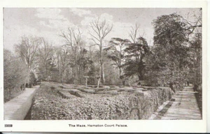 Middlesex Postkarte - Das Labyrinth - Hampton Court Palace - Ref 9106A - Bild 1 von 2