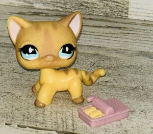 Authentische Littlest Pet Shop #886 creme gestreifte Kurzhaarkatze - Bild 1 von 5