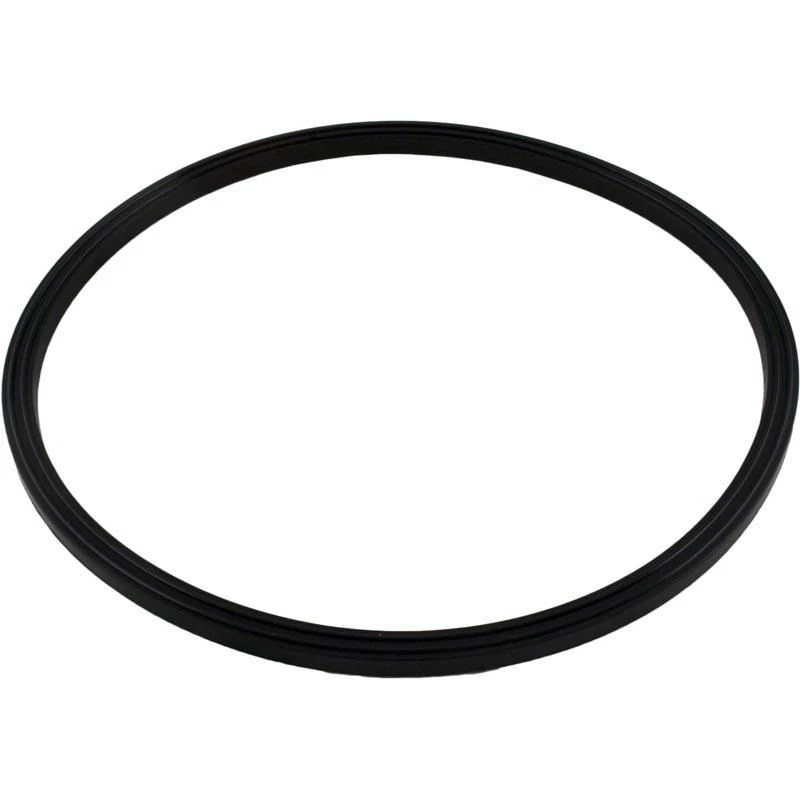 Jandy Zodiac R0487400 O-Ring Replacement JS Series Sand Filter - Image 1 of 1