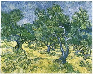 Olivenhain von Vincent Van Gogh, handgefertigtes Leinwandölgemälde Reproduktion VVG094 - Bild 1 von 1
