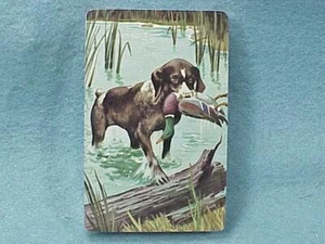Carte da gioco cane da caccia - bx2 - Foto 1 di 1