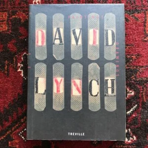 David Lynch: Painting Drawings Treville Art Work Collection 1991 Book Used - Bild 1 von 9