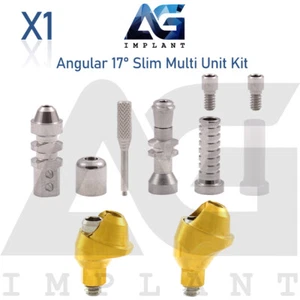 Kit Prótesis Plataforma Delgada Angular Multi Unidad 1.6 17° Int Hex Titanio - Imagen 1 de 5