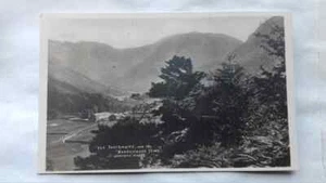 Vintage postcard real photo Yew wood Seathwaite Borrowdale 1928 Leicester posted - Picture 1 of 6