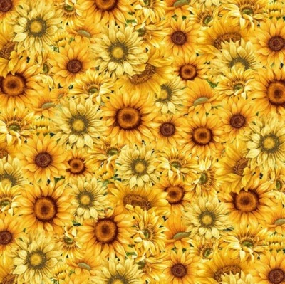 Tela de algodón girasoles empacada Sunflower Farm de Timeless Treasures por yarda Foto 1 de 4