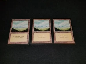 MTG 1x Revised basic land LP French FBB Plains (Hills) - ships w/ tracking - Picture 1 of 2
