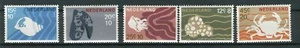 ANIMALI MARINI - SEA LIFE NETHERLANDS 1967 - Picture 1 of 1