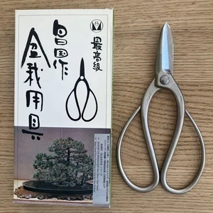 Masakuni n.8001 Cesoie da Potatura Tinte di Bianco Strumenti per Bonsai Usati - Foto 1 di 3