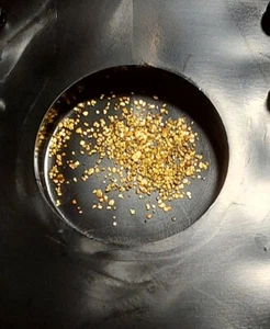 Gold, gediegen als Sammlerprobe von der Elbe Kiesgrube Liebersee Sachsen - Bild 1 von 2