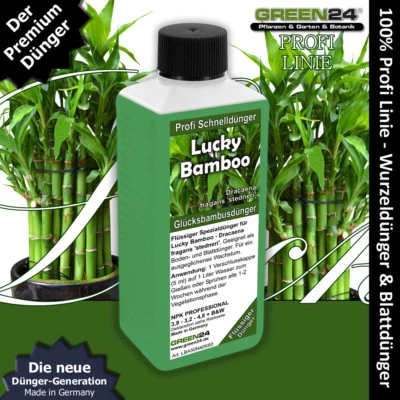 Glücksbambus Dünger Lucky Bamboo NPK Volldünger Dracaena sanderiana Bambus 250ml - Bild 1 von 4