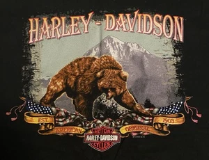 Vintage Harley Davidson 1999 T-Shirt Size Large. Baton Rouge LA. - Picture 1 of 6