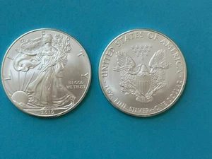 2010  American Silver Eagle - GEM BU fresh from U.S. Mint tube - Picture 1 of 1