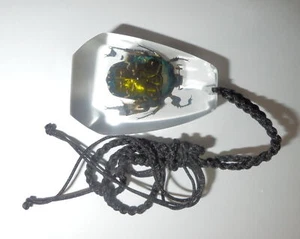 Insect Large Resin Necklace Spotted Green Rose Chafer Beetle Clear SD13 - Picture 1 of 4