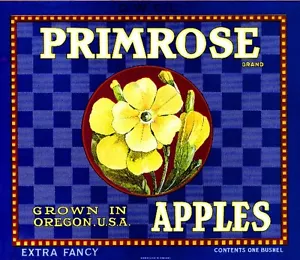 Oregon Primel Blumen Apfel Obstkiste Etikett Kunstdruck - Bild 1 von 1
