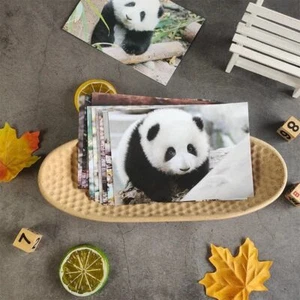 Cartoon Giant Panda Postcard Set of 12 Chengdu Tourism Souvenir Gifts - Picture 1 of 12