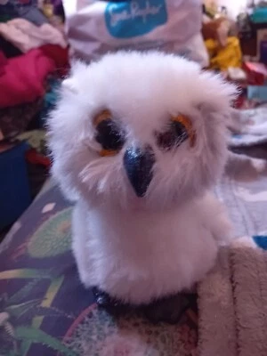 Ty Beanie Boos Austin The Owl, Small Plush Soft Toy - Image 1 of 4