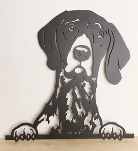 German Short Haired Pointer Metal Face Peeping Wall Art / Garden Sculpture - Picture 1 of 3